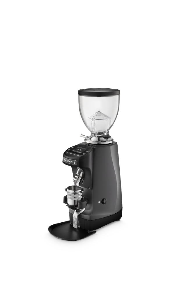 Mazzer Mini G